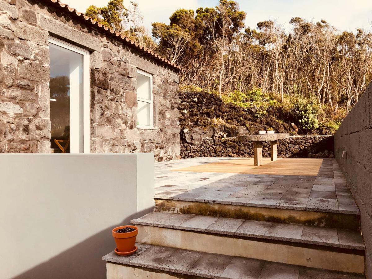 Casa D'Avo Francisco Pensionat Madalena  Exteriör bild